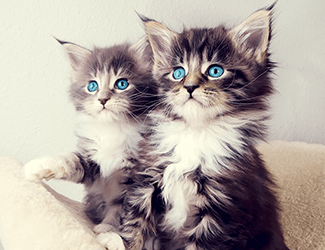 非標(biāo)鈑金的發(fā)展