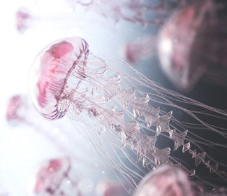 重慶銘諾金屬鈑金科技有限公司順利通過ISO9001質(zhì)量體系認(rèn)證